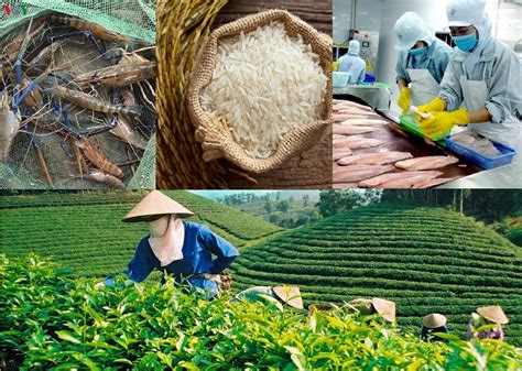 hangnongvietnam|Trang chủ thị trường nông sản .